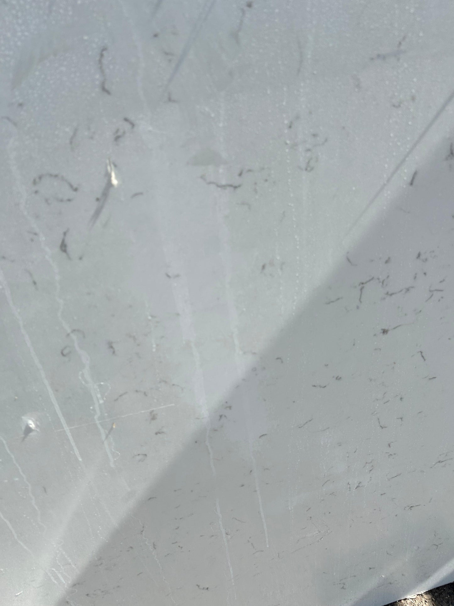 2cm, Bathroom, black, Glossy, gray, Gray remnant, Grey, Light Veins, Marble, Outlet Material, Quartz, Quartz Remnant, quartz-slabs, Rare Find, Remnant, remnants, Single, Single Slab, Sink, sinks, thickness-2cm, vanity, Veins, white, White Quartz, White Veins Quartz Remnants