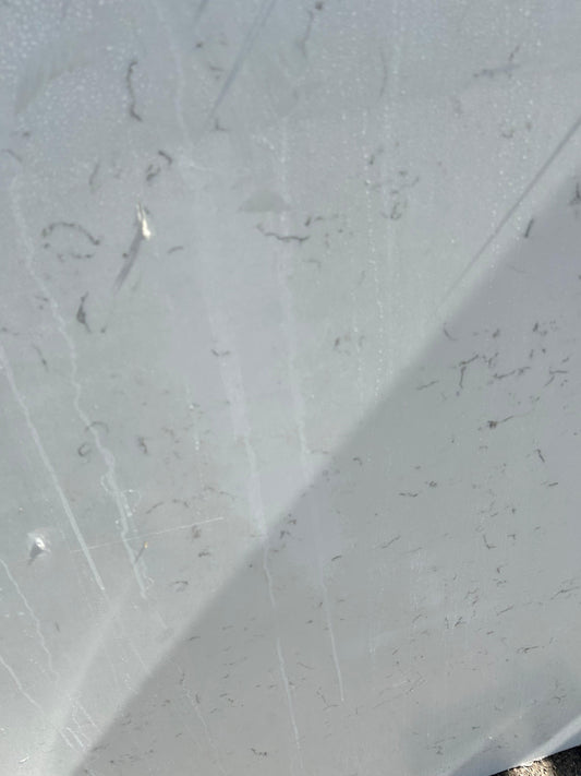 2cm, Bathroom, black, Glossy, gray, Gray remnant, Grey, Light Veins, Marble, Outlet Material, Quartz, Quartz Remnant, quartz-slabs, Rare Find, Remnant, remnants, Single, Single Slab, Sink, sinks, thickness-2cm, vanity, Veins, white, White Quartz, White Veins Quartz Remnants