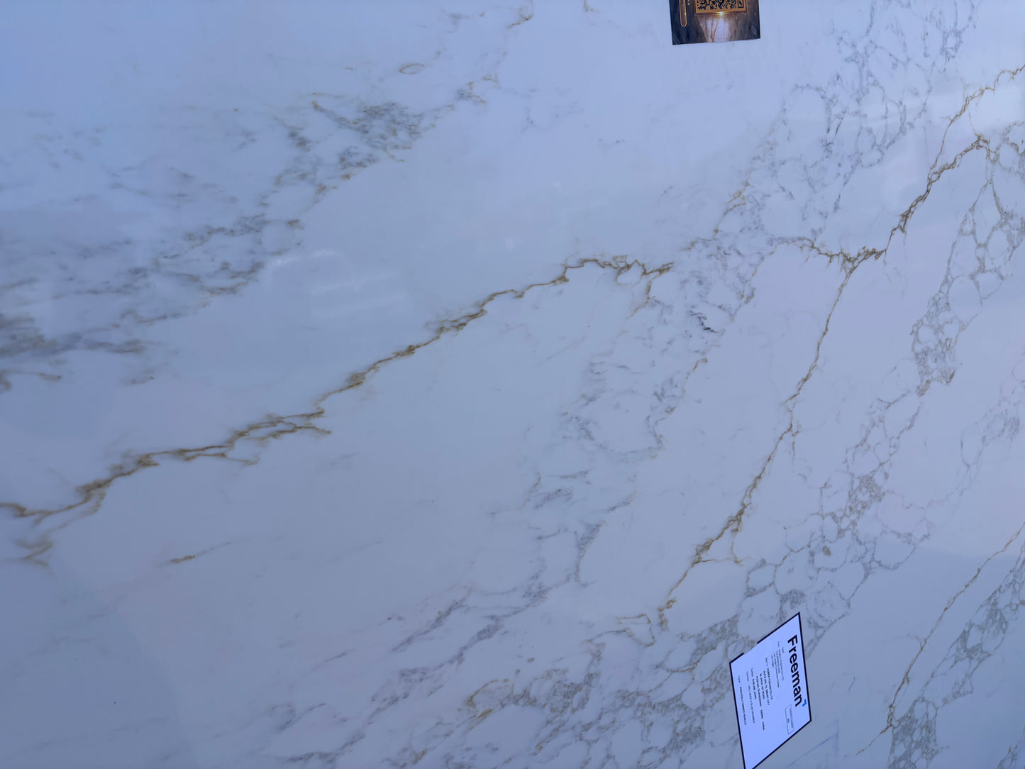 Viola Gold 118x59