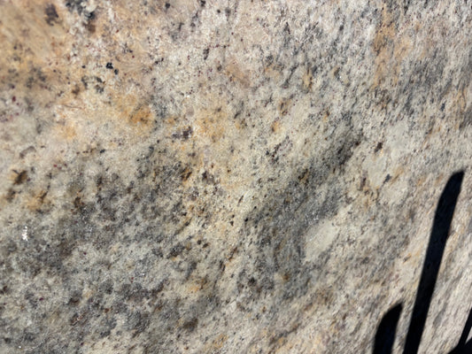 White Paradise Remnant