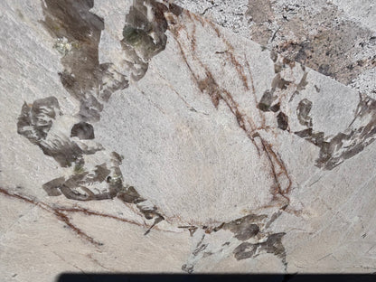 Alpine White Remnant