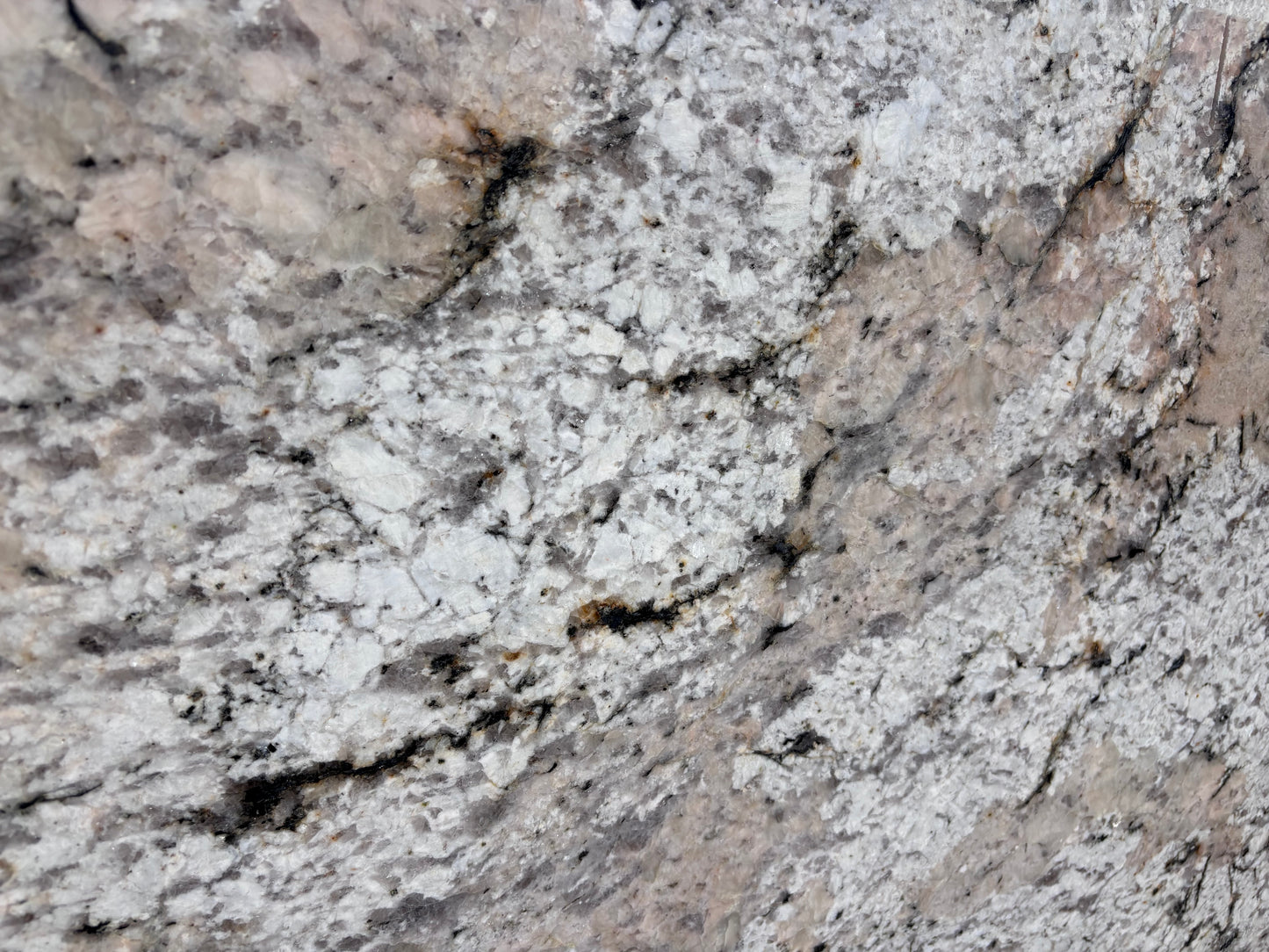 Alpine Valley Remnant